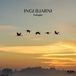 Farfuglar Ingi Bjarni Skúlason - Farfuglar (CD)