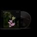 Belladonna Warner Music Group Belladonna Nocturne