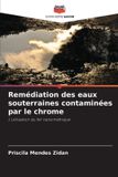 Remédiation Editions Notre Savoir Remédiation des eaux souterraines contaminées par le chrome