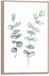 Reinders Schilderij Eucalyptus - 30 x 20 - Hout