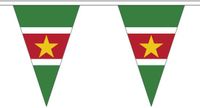 Merkloos / Sans marque Shoppartners Bv Suriname vlaggenlijn van stof - 500 cm - polyester - landen puntvlaggetjes - versiering