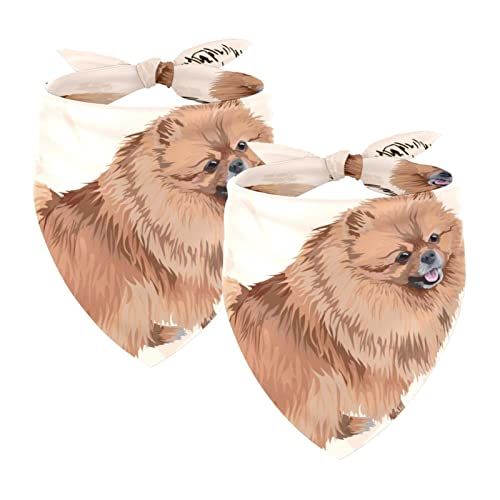 Timmershabi 2Pcs Hond Bandanas Verstelbare Huisdier Slabbetjes Wasbare Honden Driehoek Sjaal Hond Pommeren En Botten Huisdieren Verjaardag Hoofddoek Voor Medium Kleine Jongen Meisje Katten Grote Honden