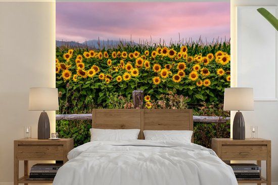 Nr1Wallpaper Fotobehang Zonnebloem - Bloemen - Planten - 280 x 280 cm - Vlies - Multicolor