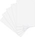 Landré recycling flipchart-papier, blanco, met 20 vellen per blok, 6 perforaties, 5 stuks