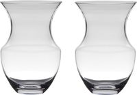 Hakbijl Glass Vaas - 2 stuks - Transparant - Glas - 18 x 26 cm
