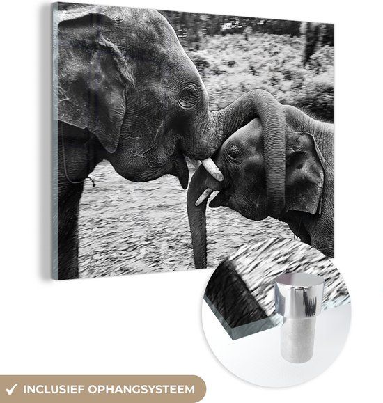 MuchoWow® Glass Painting 80x60 cm - Elephant - Black and White - Acrylic Glass