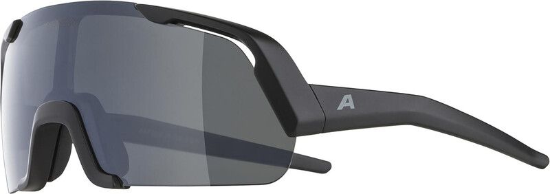 Alpina Rocket - Skibril - Zwart - Jongeren
