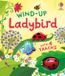 Wind-up Usborne Wind-Up Ladybird