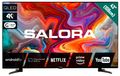Salora 43QLEDTV / QLED screen / 43 inch / 2021