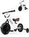 OEM 2-in-1 driewieler en loopfiets voor kinderen vanaf 2 jaar, wit
