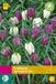 Jub Holland Fritillaria meleagris Mix JUB, 30 bloembollen