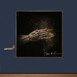 PIAS Nederland The Courteeners - Mapping The Rendezvous (CD)