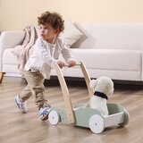 PolarB Houten Looptrainer - Mint - 30 cm