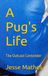 A Pug's Life The Outcast Contender