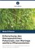 Erforschung Moringa oleifera: Gesundheitliche und therapeutische Vorteile von Samen, Samenöl und Blättern