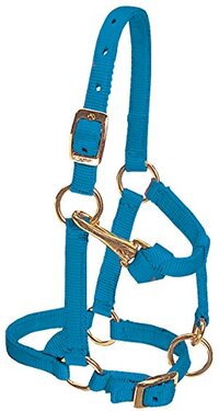 Weaver Leather Nylon Miniature Horse Adjustable Halter