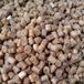 Alimentation pour poisson Hiver | Alimentation pour poisson coulante (5KG)(4,5mm)