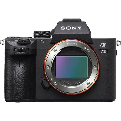 Sony Alpha 7 III + Sigma 24-70mm f/2.8 DG DN II Art Lens - E-Mount