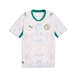 PUMA FSF Thuis Jersey Replica