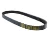 Dayco 8256K V-riem geribbeld