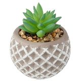 ATMOSPHERA CREATEUR D'INTERIEUR Vetplanten-cementpot