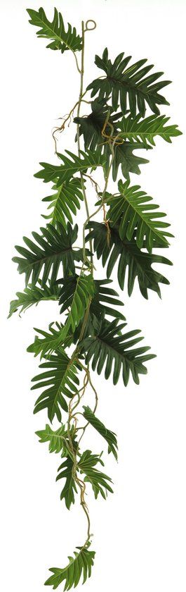 Erutan avon Philo seloum garland green 105cm