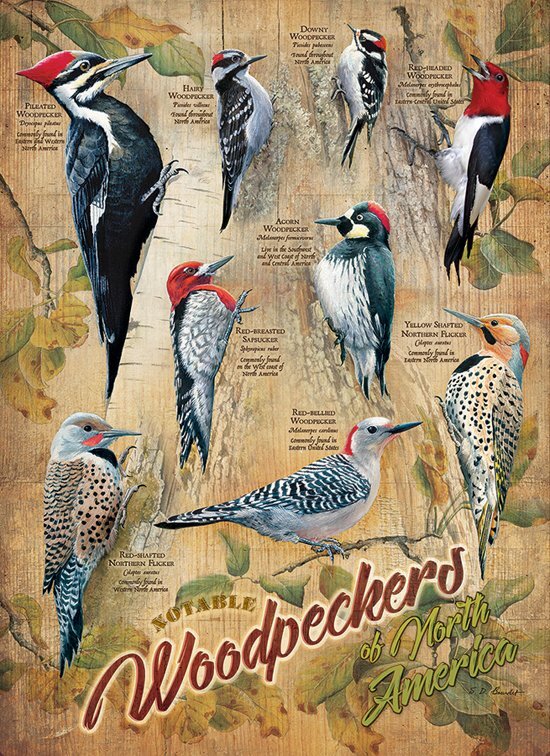 Cobble Hill : Notable Woodpeckers (500) verticale legpuzzel