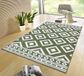 Hanse Home Modern vloerkleed ruiten Ethno - groen/crème 120x170 cm