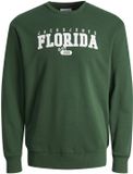 JACK&JONES - JJCORY SWEAT CREW NECK JNR - Garçon - Pull - Taille 140 - Vert Foncé