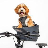 Kvisp® - Fietsmand voor Honden Voorop - Midnight Gray - M Harnas - Voor honden tot 12kg - Ook geschikt voor Elektrische Fietsen - Honden Fietsmand - Veiligheid Voorop - Bekroond ontwerp