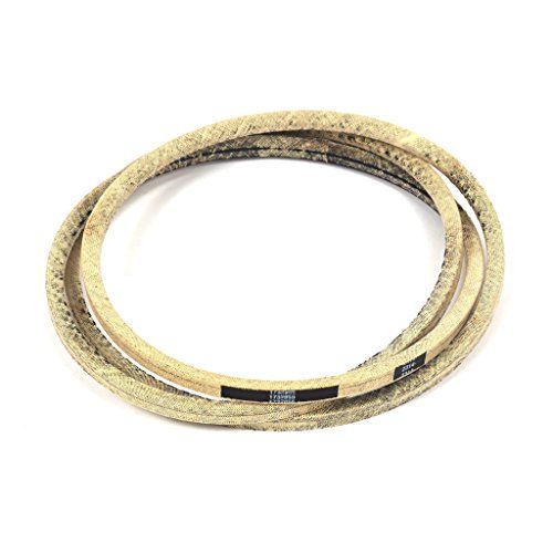 Briggs & Stratton 1732955SM V-Belt - White