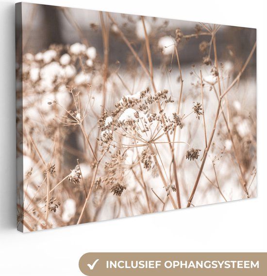 OneMillionCanvasses Canvas Schilderij 180x120 cm - Droogbloemen - Wit - Rechthoek