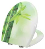 StarTech Ovaal toiletzitting - Gemaakt van PP-kunststof - Met zachte sluiting - Snelkoppeling - Open voorkant - Groen, bambuslook