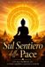 Sul La Via Della Consapevolezza- Sul Sentiero della Pace Paperback