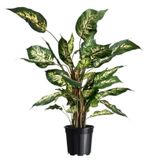 Nature Container zwart 6,3l H21,5x dia. 24m