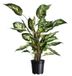 Nature Container zwart 6,3l H21,5x dia. 24m