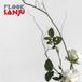 Sanju Flook - Sanju (LP)