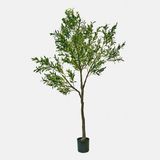 LOBERON Decoratieve olijfboom Faelira groen/bruin