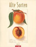 Alte Weingarten Alte Sorten Kalender 2027
