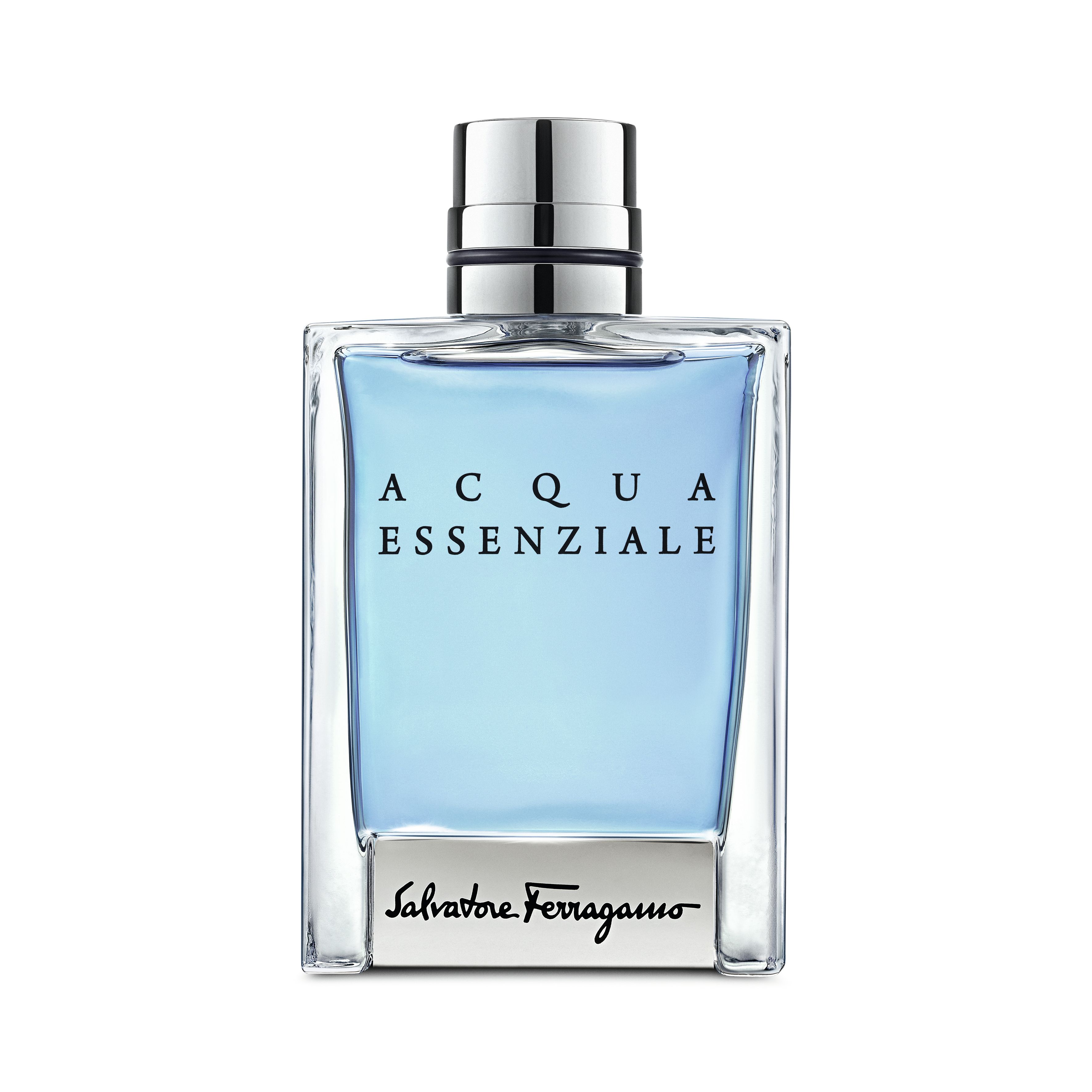 Salvatore Ferragamo Eau de Toilette / 100 ml / Men