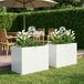 VidaXL Plantenbak 2 st wit 50 x 40 x 50 cm koudgewalst staal