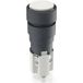 RAFI 1.15.108.977/0000 Bouton-poussoir (L x l) 19 mm x 19 mm 1 pièce
