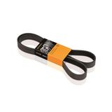 Continental CONTITECH 6PK1256 V-ribband