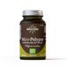 HIFAS DA TERRA - Mico-Polypor - Zuiver polyporus-extract - Paddenstoelenextract - 70 capsules
