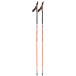 Skigo Bâtons de ski à roues 100% Carbon 2.0 BOA (160cm - Noir)
