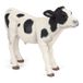 Papo - Realistische zwart-wit kalf figuur - 3 jaar en ouder - Leven op de boerderij collectie - Educatief spel jonge boerderijdieren - Cadeau-idee speelgoed voor meisjes en jongens