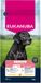 Eukanuba Senior Large Breed Poulet - Croquettes pour chien - 15 kg