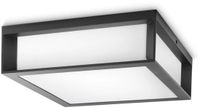 Philips EcoMoods 8719514385320, Buitengebruik plafondverlichting, Antraciet, Metaal, IP44, Entree, II