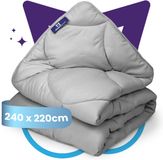 Slaapspeciaal Eazydekbed Essential Grijs - Wasbaar Dekbed - Dekbed zonder Overtrek - Hoesloos Dekbed - All Year Dekbed - 2 in 1 Dekbed - Dekbed met Vaste Overtrek - Gekleurd Dekbed - 240x220 cm