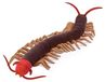 Centopod Peluche 68 cm en Peluche